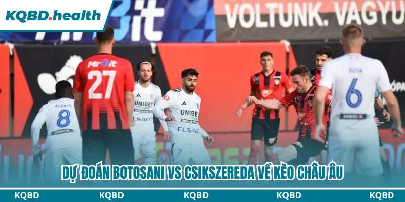 Dự đoán Botosani vs Csikszereda về kèo châu Âu